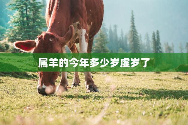 属羊的今年多少岁虚岁了(如何计算属羊人的虚岁)