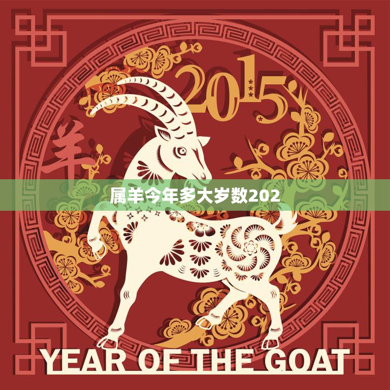 属羊今年多大岁数202(你的生肖年龄到底是多少)