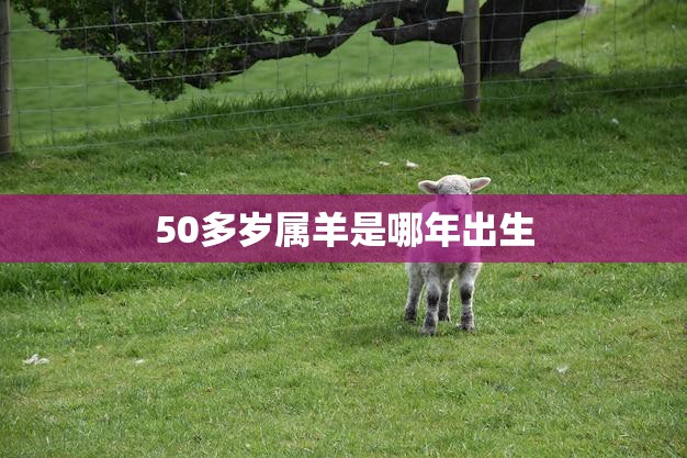 50多岁属羊是哪年出生(详解属羊人的性格特点和命运趋势)