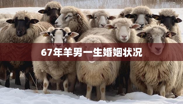 67年羊男一生婚姻状况(婚姻多波折但最终找到真爱)