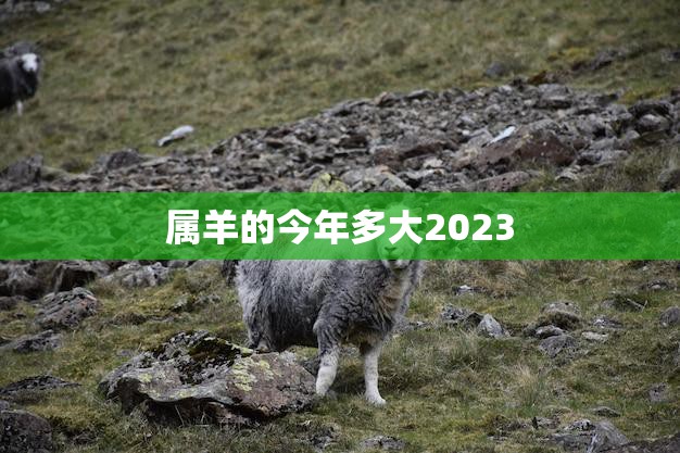 属羊的今年多大2023(你的生肖年龄将迎来新的挑战)