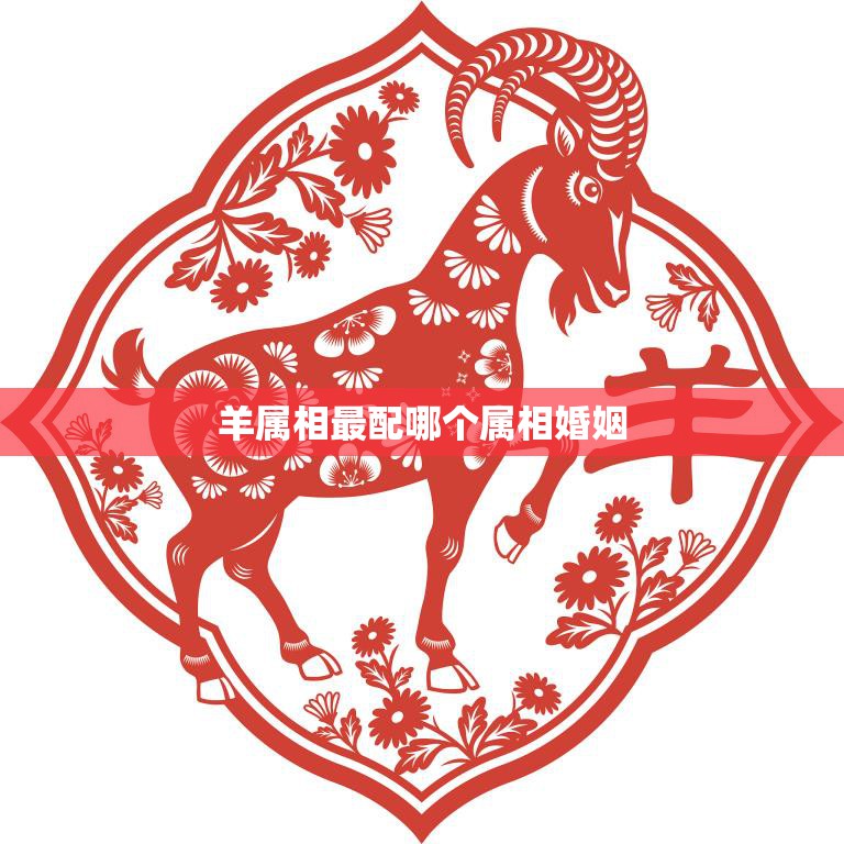 羊属相最配哪个属相婚姻(揭秘羊婚姻最佳搭档让你的婚姻幸福)