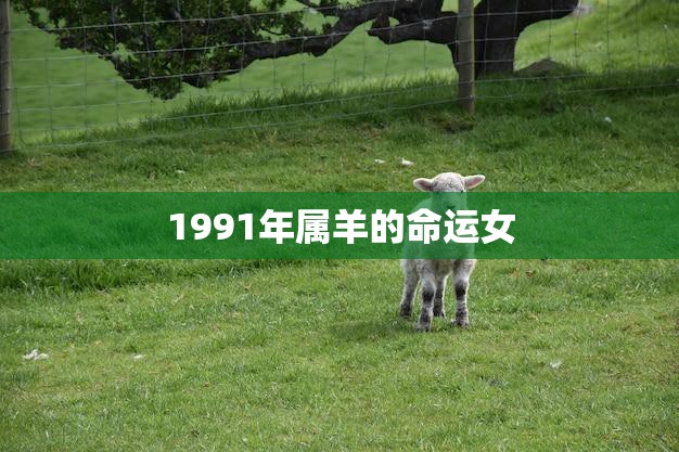 1991年属羊的命运女(命运多舛的人生之路)