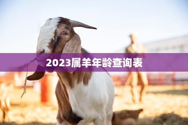 2023属羊年龄查询表(快速查看你的属相年龄)