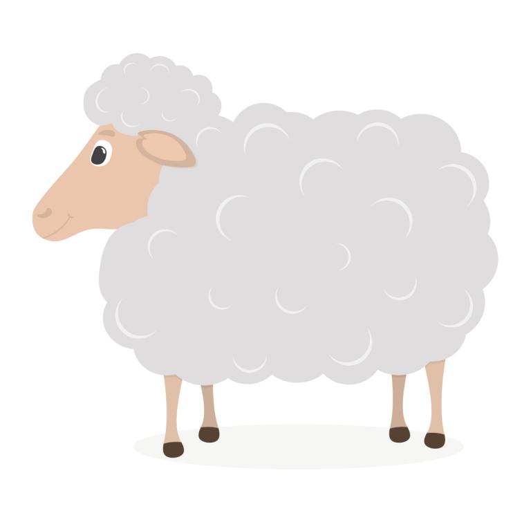 属羊跟属羊的姻缘怎么样(解析属羊配对的优缺点)