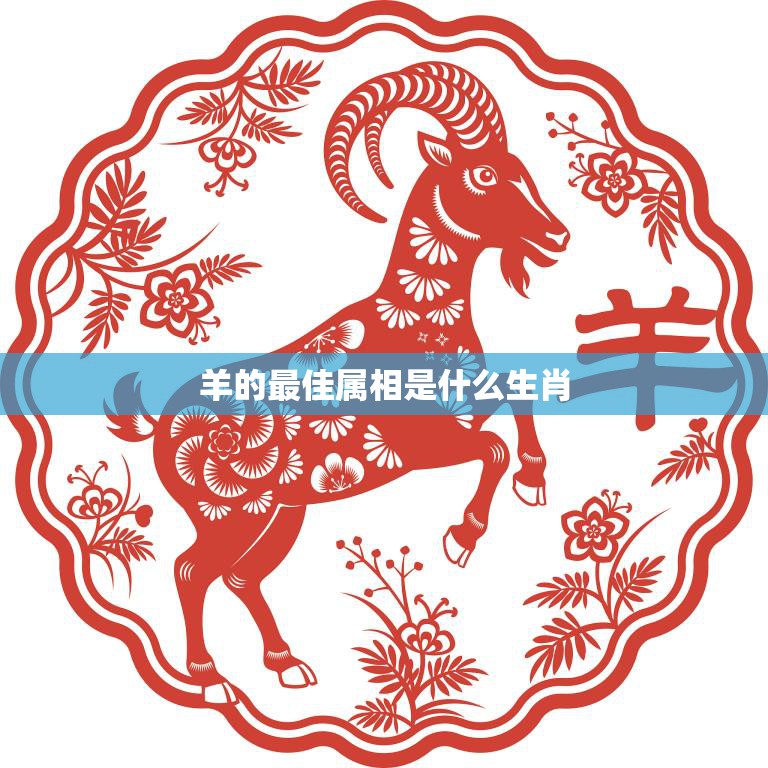 羊的最佳属相是什么生肖(揭秘哪个生肖最适合与羊搭配)