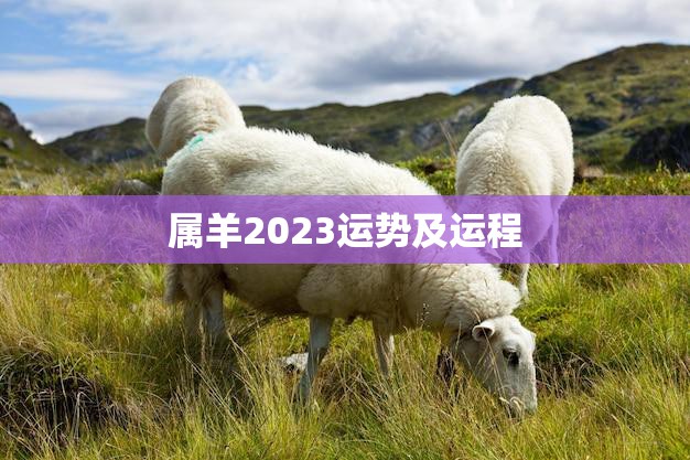 属羊2023运势及运程(如何把握未来的机遇)