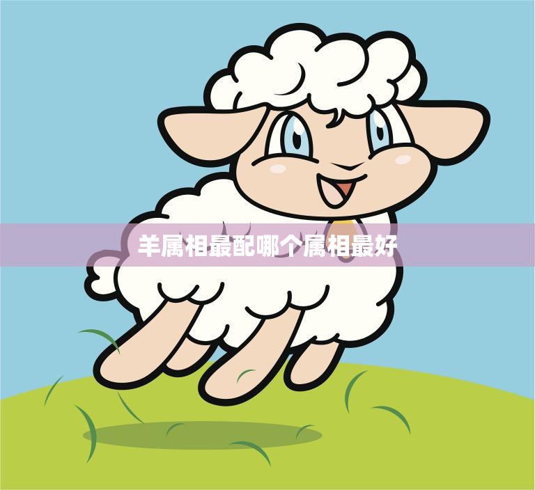 羊属相最配哪个属相最好(解析12生肖配对大揭秘)