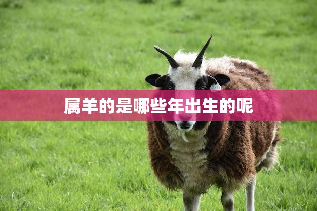 属羊的是哪些年出生的呢(解析十二生肖中的羊年份)