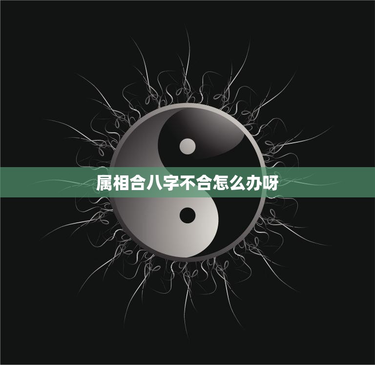 属相合八字不合怎么办呀(如何化解八字不合的矛盾)