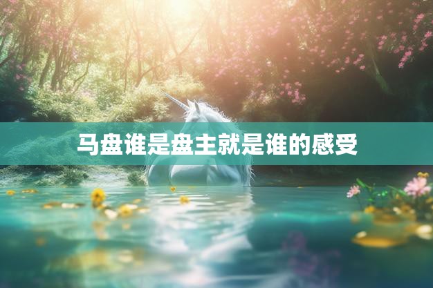 马盘谁是盘主就是谁的感受(盘主身份的权利与责任)