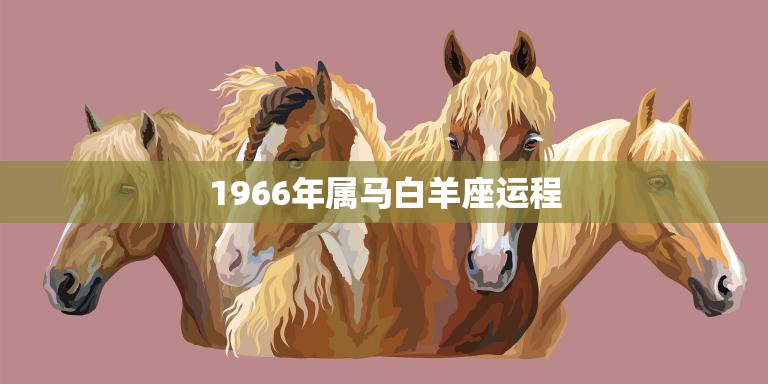 1966年属马白羊座运程(幸运之星高照)