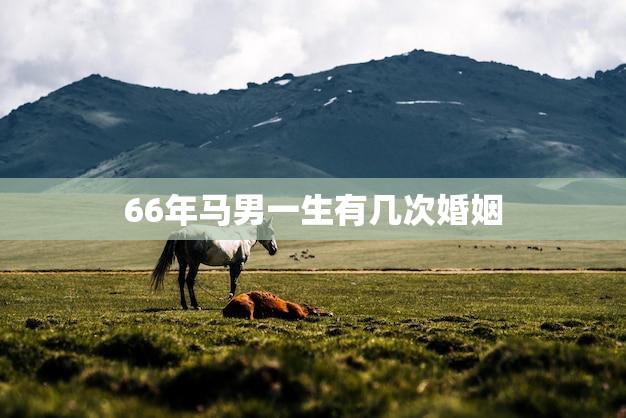 66年马男一生有几次婚姻(揭秘的婚姻历程)