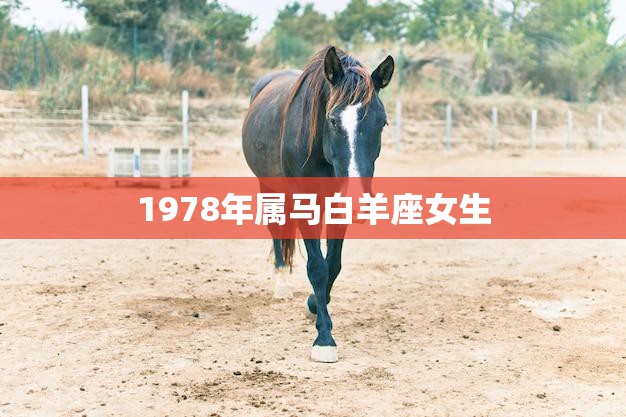 1978年属马白羊座女生(热情奔放的自由精神)