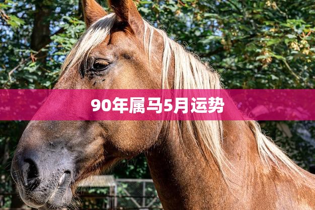 90年属马5月运势(财运旺盛感情顺利)