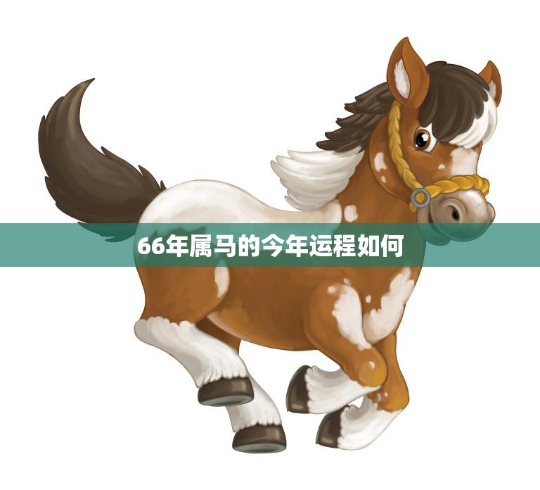 66年属马的今年运程如何(2023年属马人的运势大揭秘)
