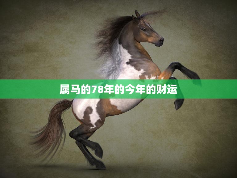 属马的78年的今年的财运(2023年运势大揭秘)
