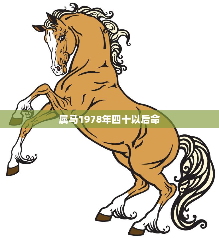 属马1978年四十以后命(如何化解命运中的不利因素)