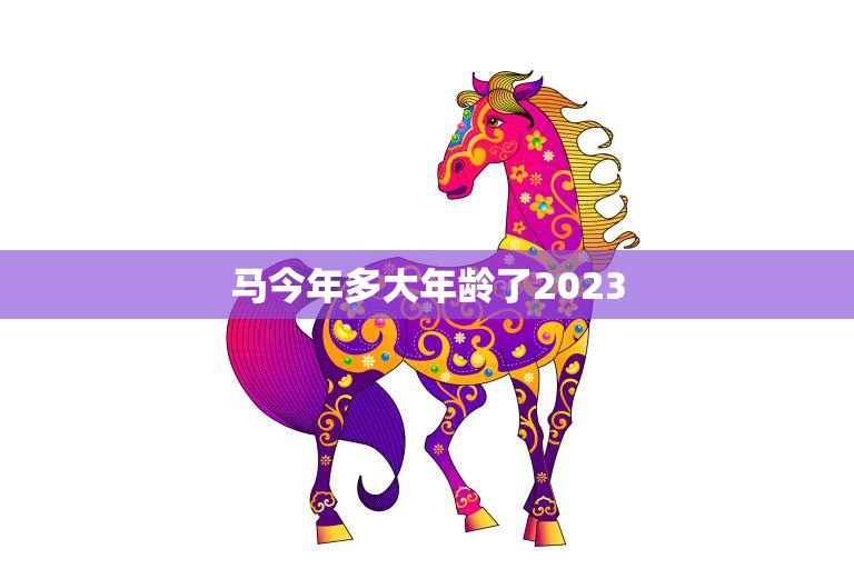 马今年多大年龄了2023(马匹年龄计算方法及其对马匹健康的影响)