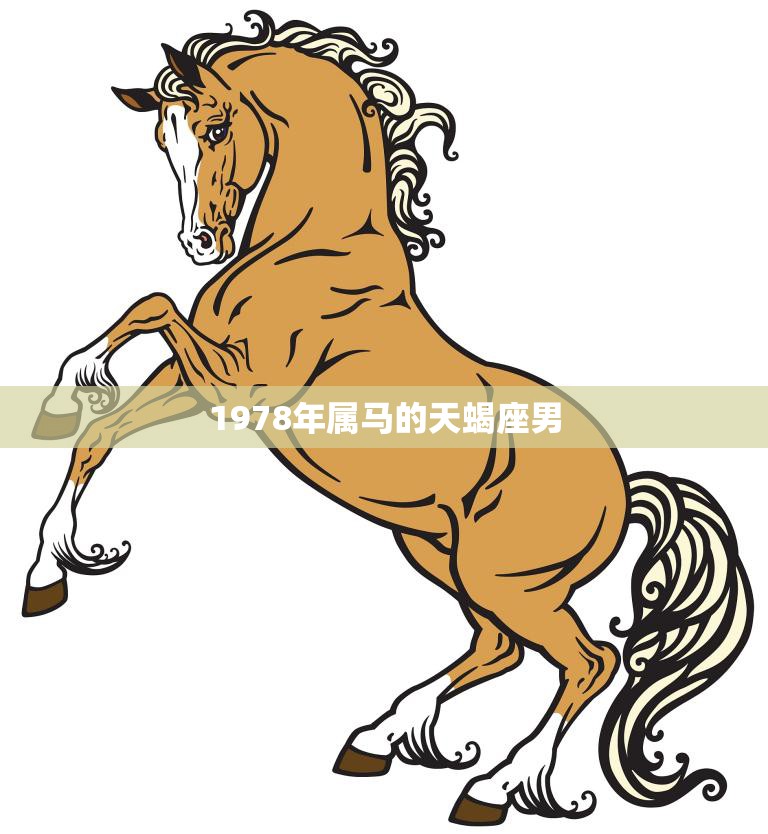 1978年属马的天蝎座男(性格分析神秘、敏锐、独立)