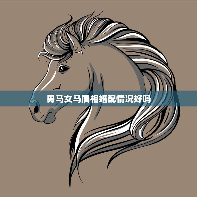 男马女马属相婚配情况好吗(解析同属相的婚姻是否)
