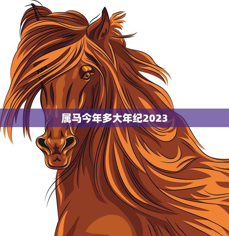 属马今年多大年纪2023(马年人的年龄计算方法及注意事项)