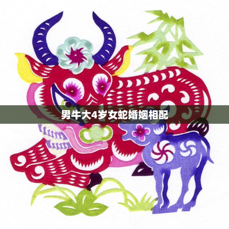 男牛大4岁女蛇婚姻相配(年龄差异不影响幸福)
