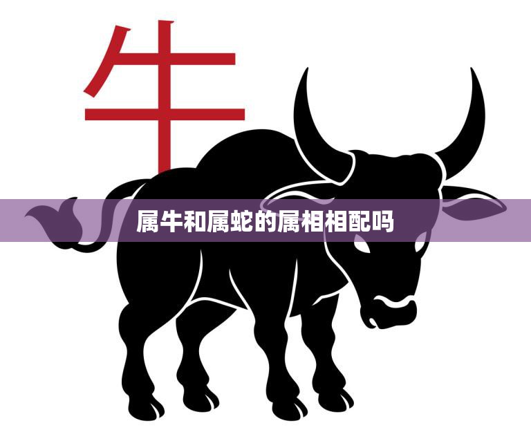 属牛和属蛇的属相相配吗(如何看待这对属相的组合)