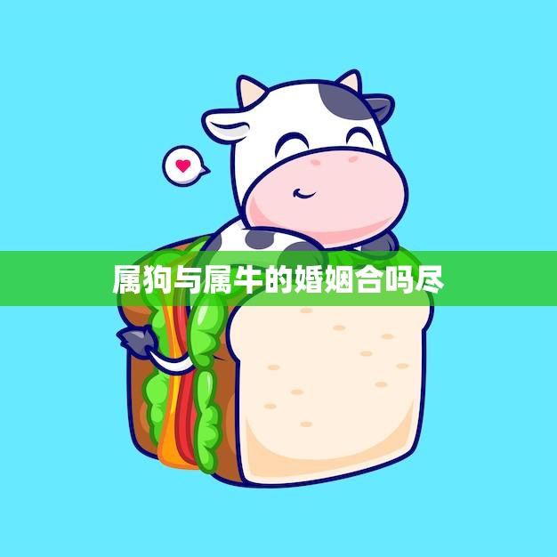 属狗与属牛的婚姻合吗尽(解析属相配对的秘密)
