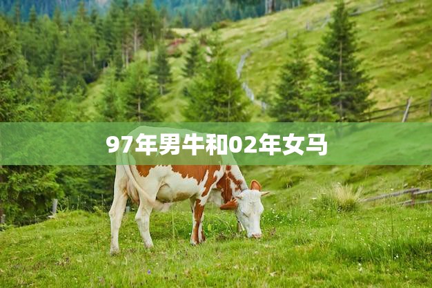 97年男牛和02年女马(天生一对)