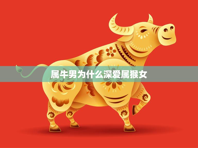 属牛男为什么深爱属猴女(探究星座配对的奥秘)