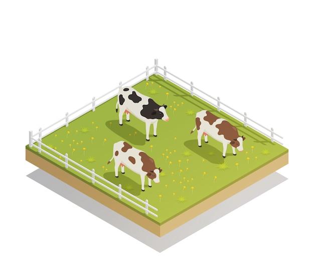 牛女2023年每月运势(幸运之年月月好运)