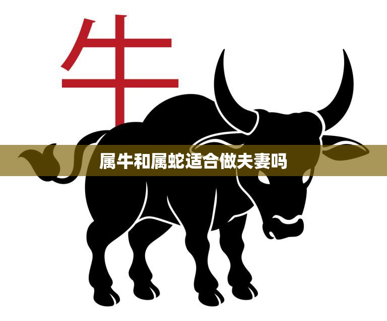 属牛和属蛇适合做夫妻吗(星座配对分析)