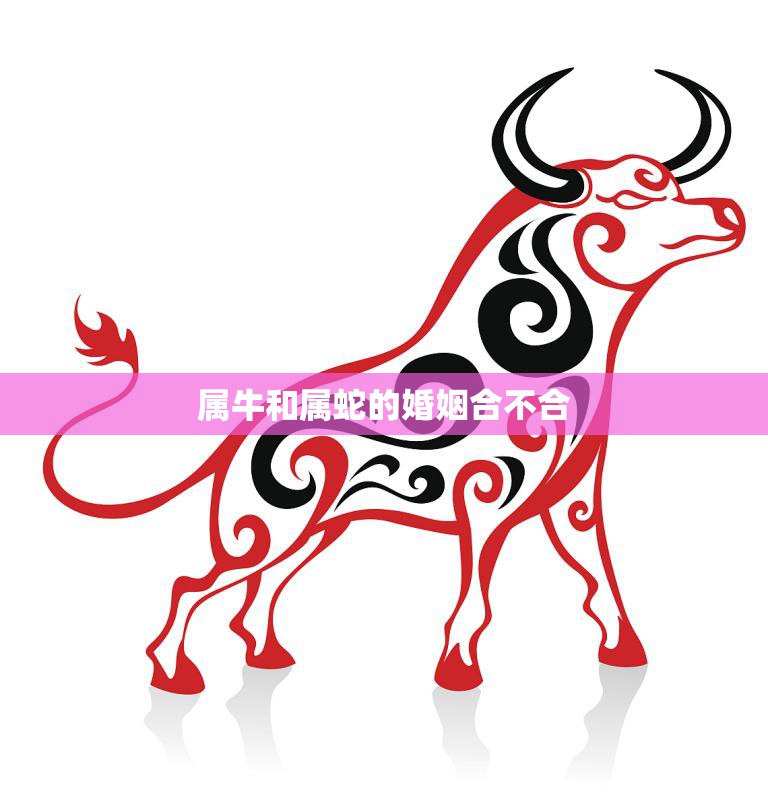 属牛和属蛇的婚姻合不合(如何看待这种组合)