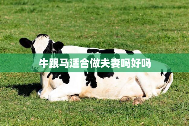 牛跟马适合做夫妻吗好吗(探讨异种是否可行)
