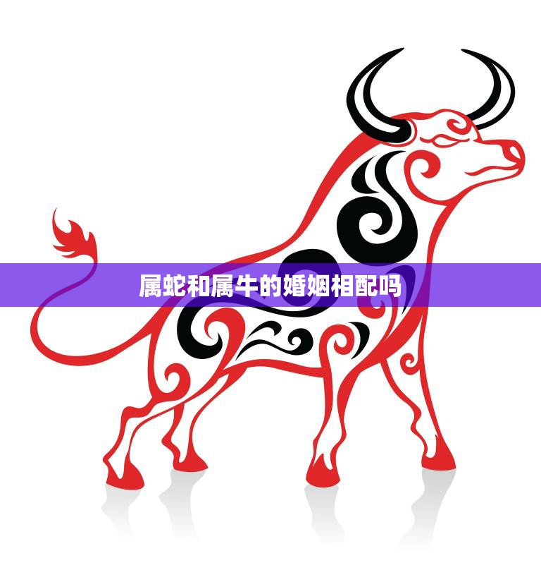 属蛇和属牛的婚姻相配吗(探究星座配对的真相)