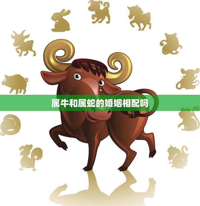 属牛和属蛇的婚姻相配吗(解析星座配对大揭秘)