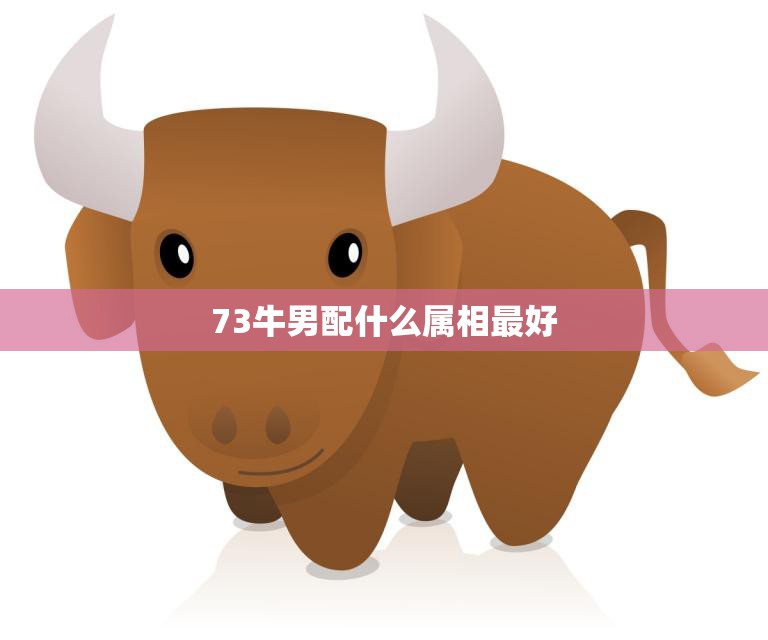 73牛男配什么属相最好(寻找最佳配对)