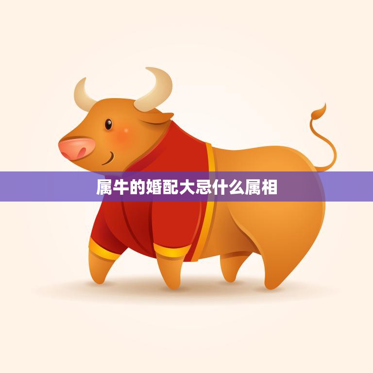 属牛的婚配大忌什么属相(不可忽视的婚姻陷阱)