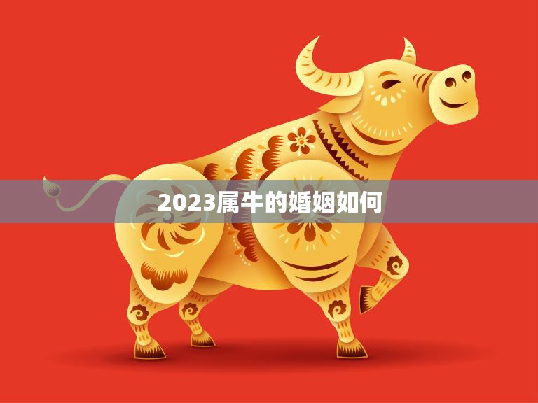 2023属牛的婚姻如何(幸福的秘诀)