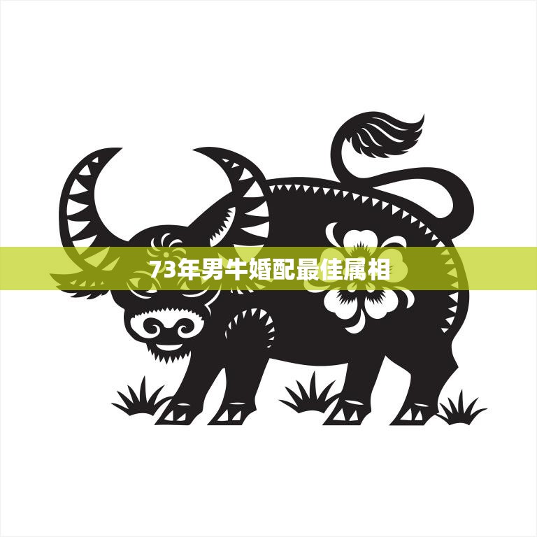 73年男牛婚配最佳属相(揭秘哪个属相最配)