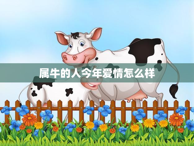属牛的人今年爱情怎么样(2023年属牛人感情运势大揭秘)