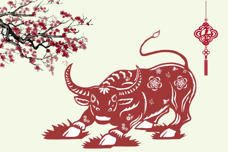 85属牛2023年运势(牛年大展宏图)