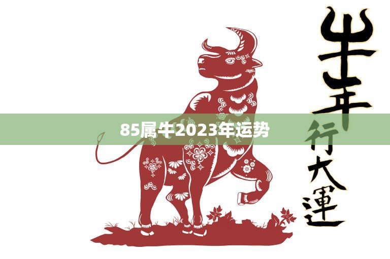 85属牛2023年运势(牛年大展宏图)