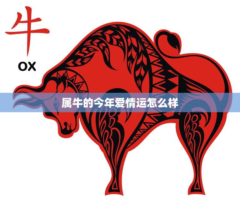 属牛的今年爱情运怎么样(2023年牛年爱情运势解析)