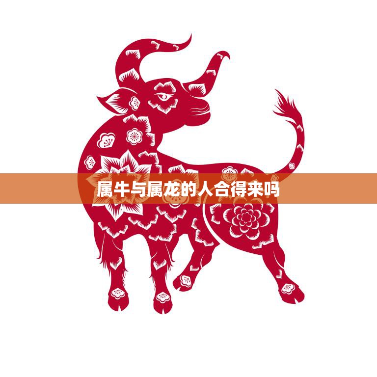 属牛与属龙的人合得来吗(解密属相配对的奥秘)