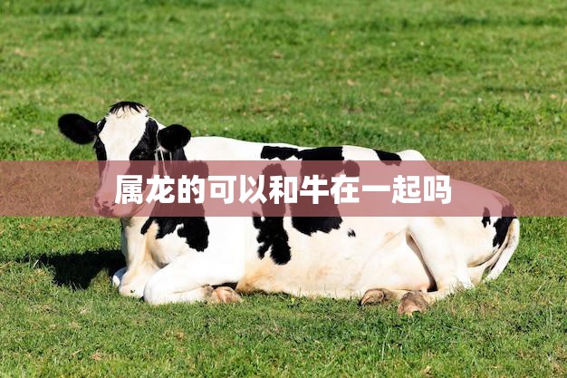 属龙的可以和牛在一起吗(星座配对大揭秘)