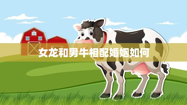 女龙和男牛相配婚姻如何(幸福还是水火不容)