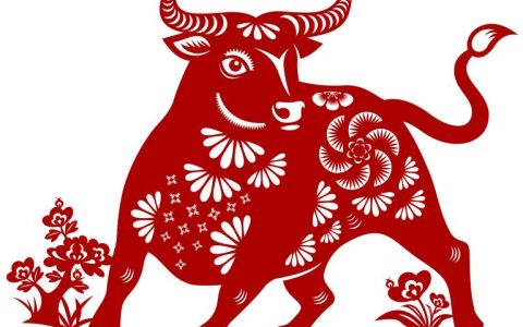 属牛跟属龙的婚姻合不合(如何避免婚姻矛盾)