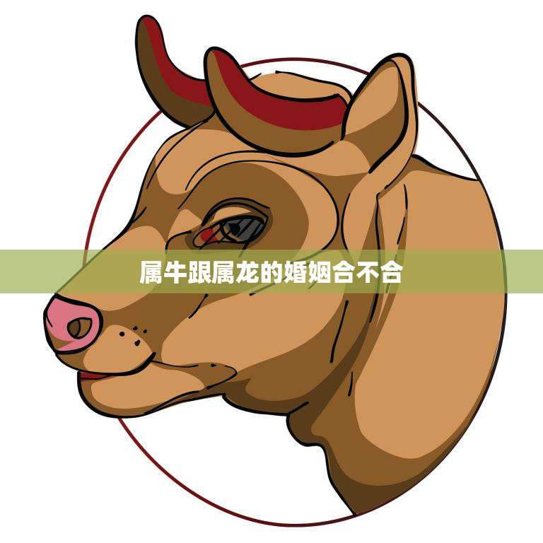 属牛跟属龙的婚姻合不合(如何避免婚姻矛盾)